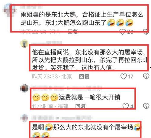 爆料大鹅解说视频网易版,揭秘游戏幕后故事与精彩瞬间